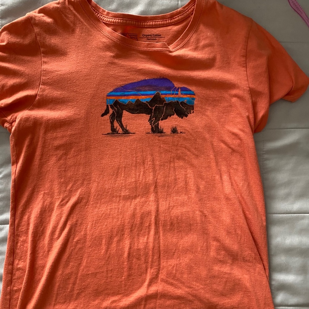 Patagonia T-shirt